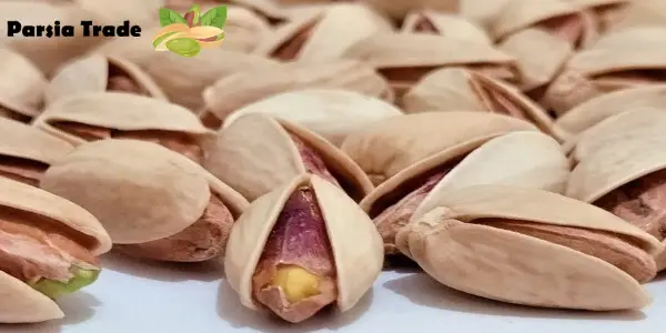 ویژگی‌ های ظاهری پسته اکبری