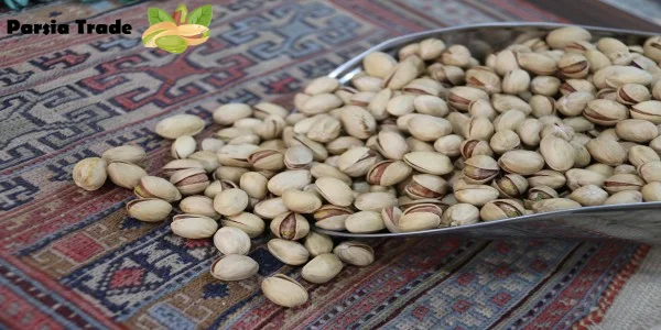 ویژگی های ظاهری پسته فندقی