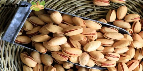 انواع فرآوری و بسته‌ بندی پسته اکبری