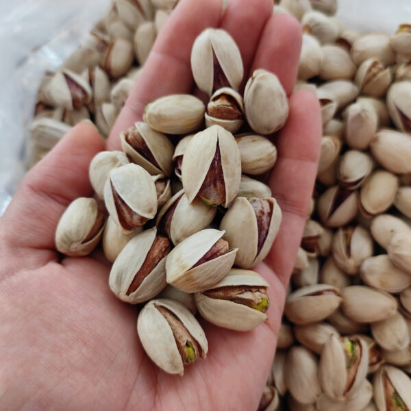 پسته کله قوچی