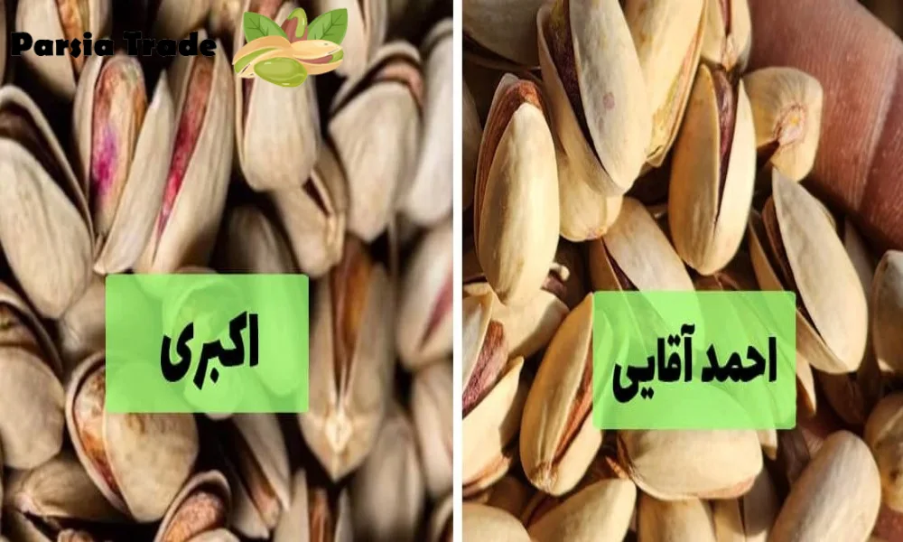 3 فرق پسته اکبری و پسته احمد آقایی