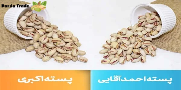 فرق پسته اکبری و پسته احمد آقایی در ظاهر